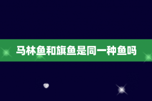 马林鱼和旗鱼是同一种鱼吗