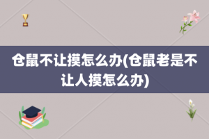 仓鼠不让摸怎么办(仓鼠老是不让人摸怎么办)