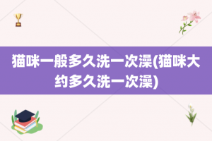 猫咪一般多久洗一次澡(猫咪大约多久洗一次澡)