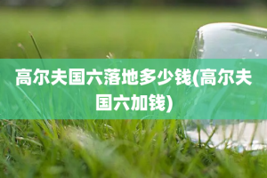 高尔夫国六落地多少钱(高尔夫国六加钱)