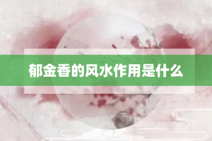 郁金香的风水作用是什么