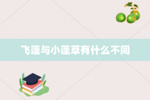 飞蓬与小蓬草有什么不同