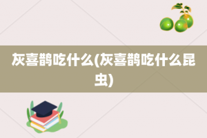 灰喜鹊吃什么(灰喜鹊吃什么昆虫)