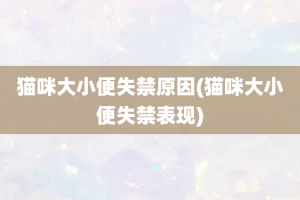 猫咪大小便失禁原因(猫咪大小便失禁表现)