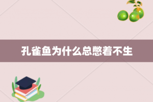 孔雀鱼为什么总憋着不生