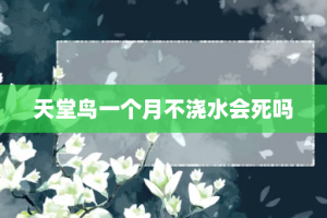 天堂鸟一个月不浇水会死吗