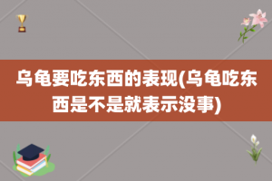 乌龟要吃东西的表现(乌龟吃东西是不是就表示没事)