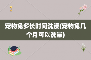 宠物兔多长时间洗澡(宠物兔几个月可以洗澡)