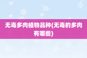 无毒多肉植物品种(无毒的多肉有哪些)