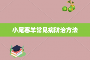 小尾寒羊常见病防治方法