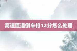 高速匝道倒车扣12分怎么处理