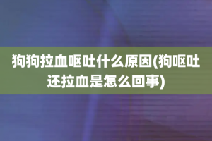 狗狗拉血呕吐什么原因(狗呕吐还拉血是怎么回事)