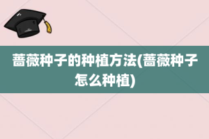 蔷薇种子的种植方法(蔷薇种子怎么种植)