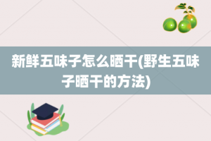 新鲜五味子怎么晒干(野生五味子晒干的方法)