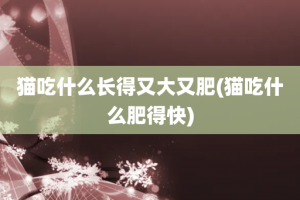 猫吃什么长得又大又肥(猫吃什么肥得快)