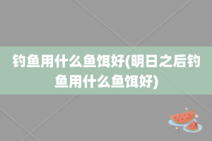 钓鱼用什么鱼饵好(明日之后钓鱼用什么鱼饵好)