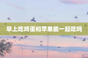 早上吃鸡蛋和苹果能一起吃吗