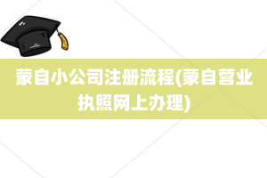 蒙自小公司注册流程(蒙自营业执照网上办理)