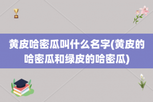 黄皮哈密瓜叫什么名字(黄皮的哈密瓜和绿皮的哈密瓜)
