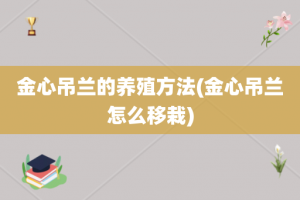 金心吊兰的养殖方法(金心吊兰怎么移栽)