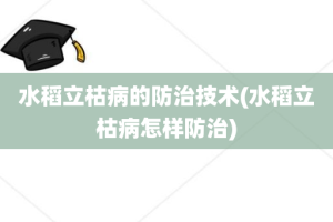 水稻立枯病的防治技术(水稻立枯病怎样防治)