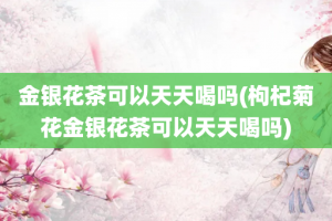 金银花茶可以天天喝吗(枸杞菊花金银花茶可以天天喝吗)