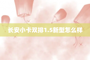 长安小卡双排1.5新型怎么样