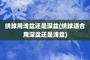 绣球用浅盆还是深盆(绣球适合用深盆还是浅盆)