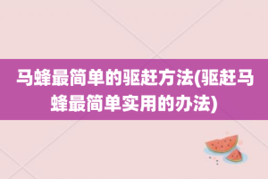 马蜂最简单的驱赶方法(驱赶马蜂最简单实用的办法)