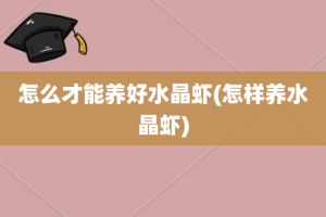 怎么才能养好水晶虾(怎样养水晶虾)