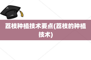 荔枝种植技术要点(荔枝的种植技术)