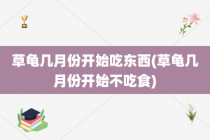 草龟几月份开始吃东西(草龟几月份开始不吃食)