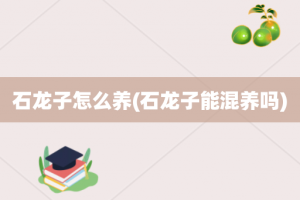 石龙子怎么养(石龙子能混养吗)