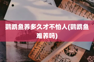 鹦鹉鱼养多久才不怕人(鹦鹉鱼难养吗)
