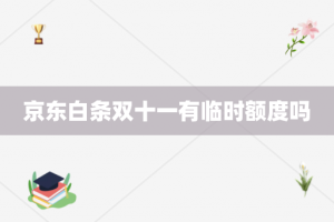 京东白条双十一有临时额度吗