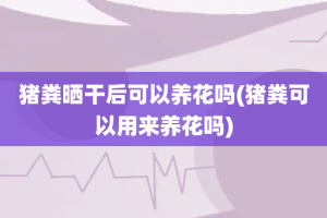 猪粪晒干后可以养花吗(猪粪可以用来养花吗)