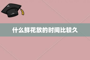 什么鲜花放的时间比较久