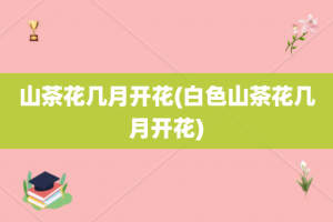 山茶花几月开花(白色山茶花几月开花)