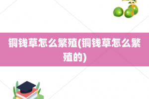 铜钱草怎么繁殖(铜钱草怎么繁殖的)