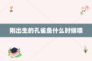 刚出生的孔雀鱼什么时候喂