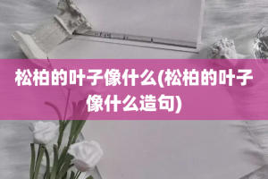 松柏的叶子像什么(松柏的叶子像什么造句)