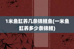 1米鱼缸养几条锦鲤鱼(一米鱼缸养多少条锦鲤)