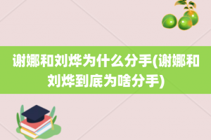 谢娜和刘烨为什么分手(谢娜和刘烨到底为啥分手)