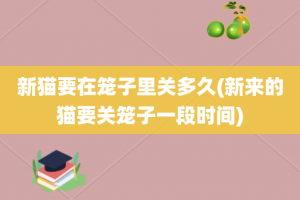 新猫要在笼子里关多久(新来的猫要关笼子一段时间)