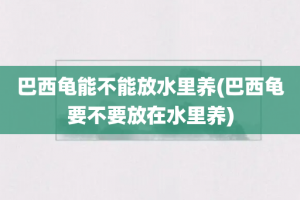 巴西龟能不能放水里养(巴西龟要不要放在水里养)