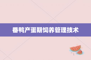 番鸭产蛋期饲养管理技术
