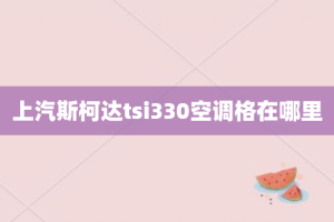 上汽斯柯达tsi330空调格在哪里