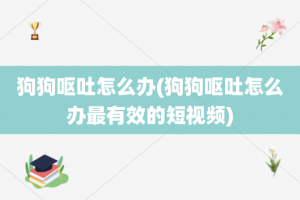 狗狗呕吐怎么办(狗狗呕吐怎么办最有效的短视频)