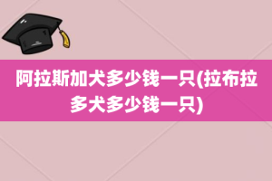 阿拉斯加犬多少钱一只(拉布拉多犬多少钱一只)