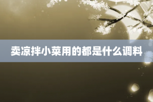 卖凉拌小菜用的都是什么调料